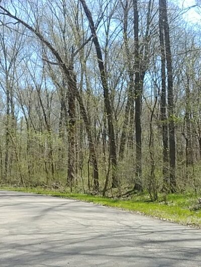 Robertsville State Park - Robertsville, MO