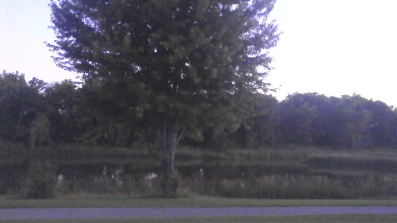 Second Frank Canine Park - Rochester, MN