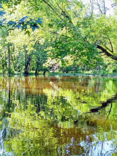 Ballantyne Park - Rochester, NY