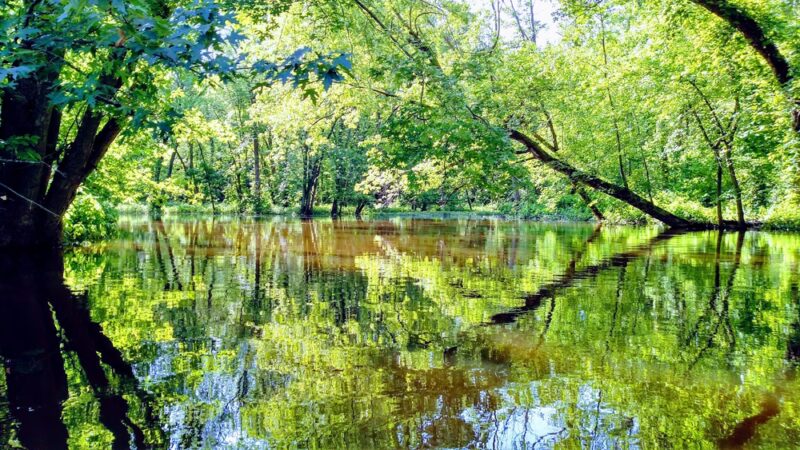 Ballantyne Park - Rochester, NY