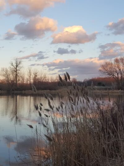 Ballantyne Park - Rochester, NY