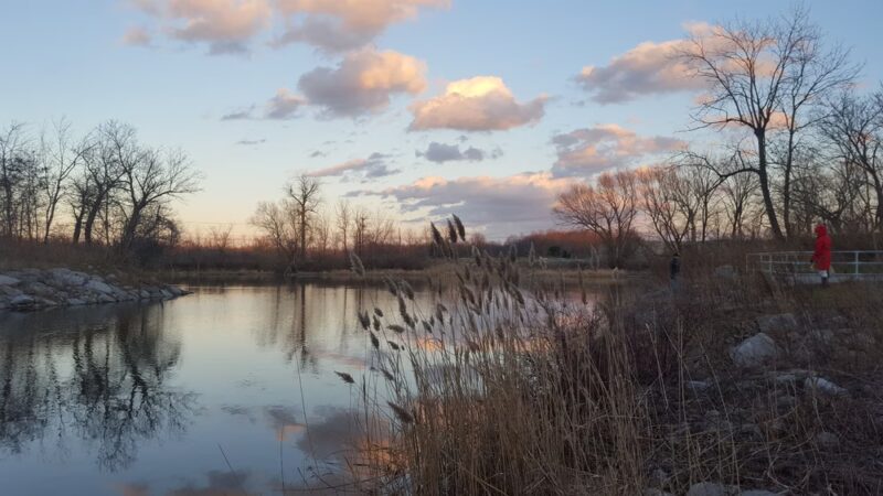 Ballantyne Park - Rochester, NY