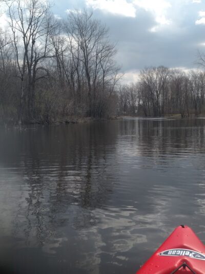 Ballantyne Park - Rochester, NY