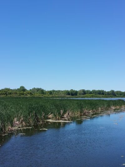 Beatty Point Park - Rochester, NY