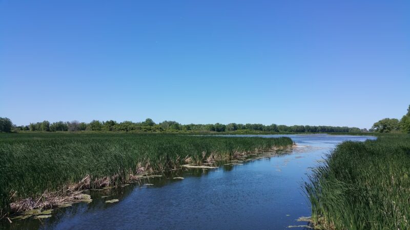 Beatty Point Park - Rochester, NY
