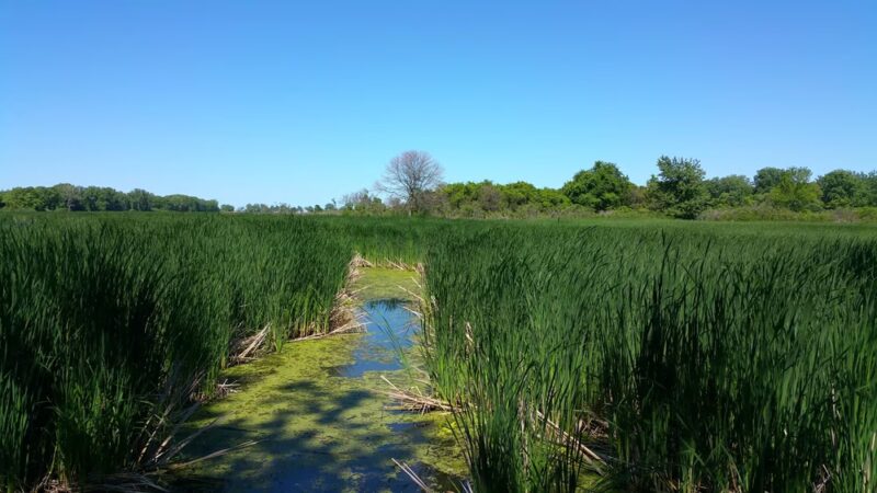 Beatty Point Park - Rochester, NY