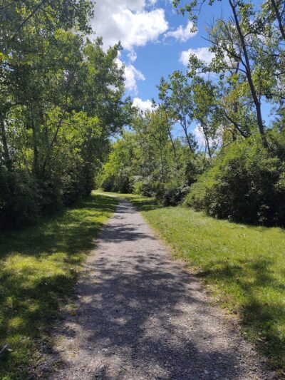 Beatty Point Park - Rochester, NY