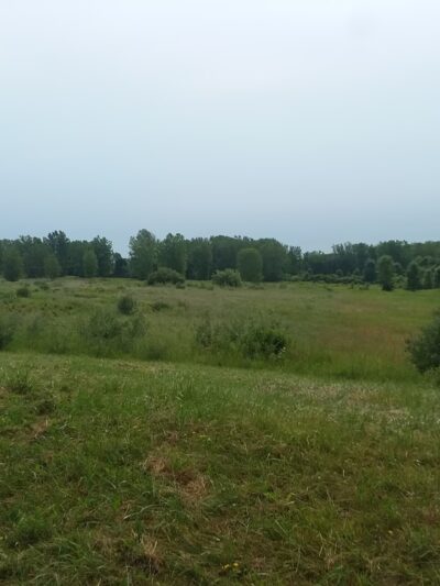 Beatty Point Park - Rochester, NY