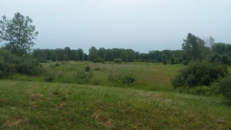 Beatty Point Park - Rochester, NY