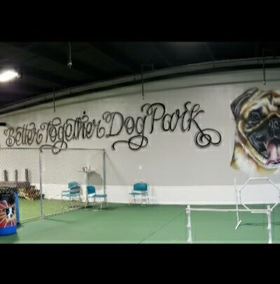 Better Together Dog Park Bar - Rochester, NY