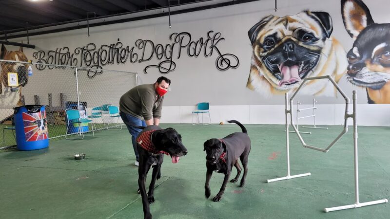 Better Together Dog Park Bar - Rochester, NY