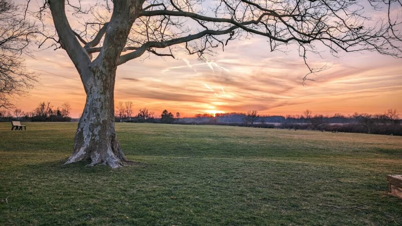 Braddock Bay Park - Rochester, NY