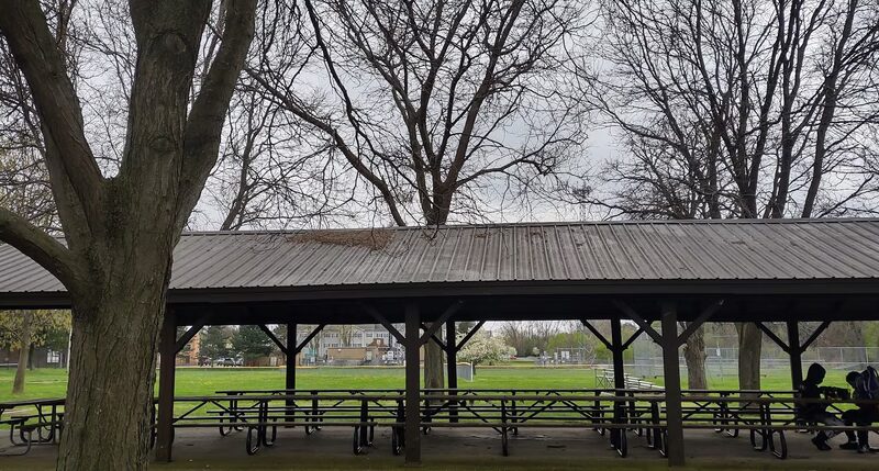Carter Park - Rochester, NY