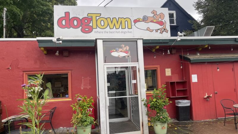 Dogtown - Rochester, NY