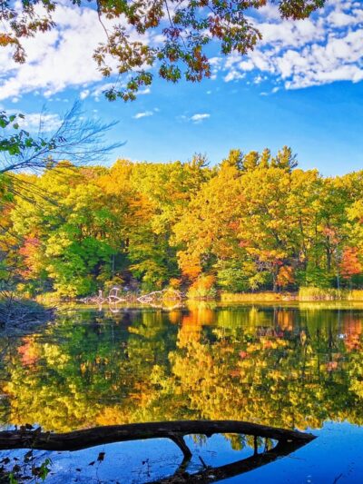 Durand Eastman Park - Rochester, NY