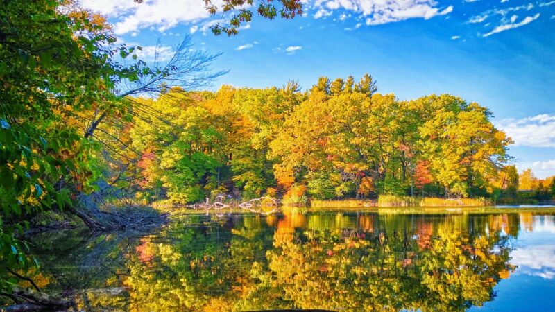 Durand Eastman Park - Rochester, NY