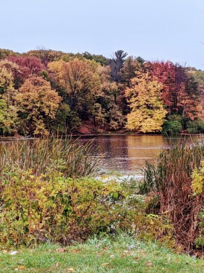 Durand Eastman Park - Rochester, NY