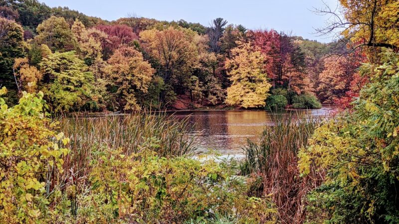 Durand Eastman Park - Rochester, NY