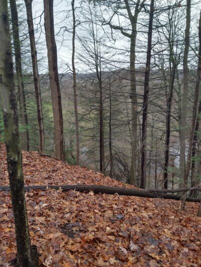 Ellison Park Penfield Rd Trailhead Parking Lot - Rochester, NY