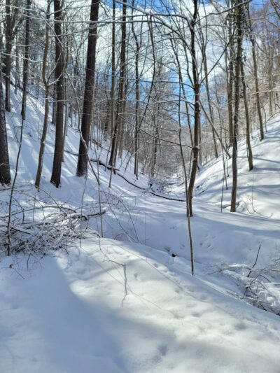 Ellison Park Penfield Rd Trailhead Parking Lot - Rochester, NY