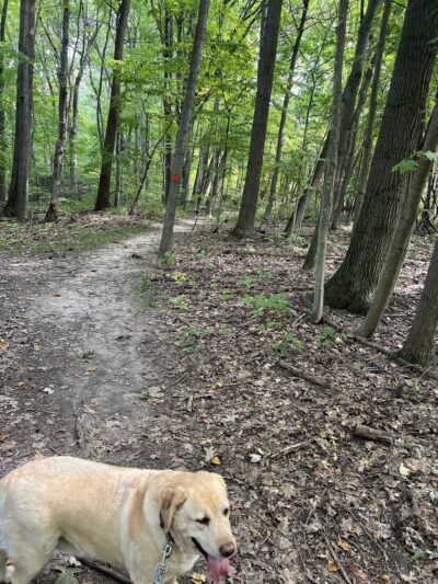 Ellison Park Penfield Rd Trailhead Parking Lot - Rochester, NY