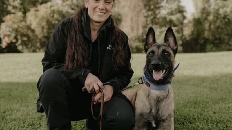 Lakewind Kennels - Rochester, NY