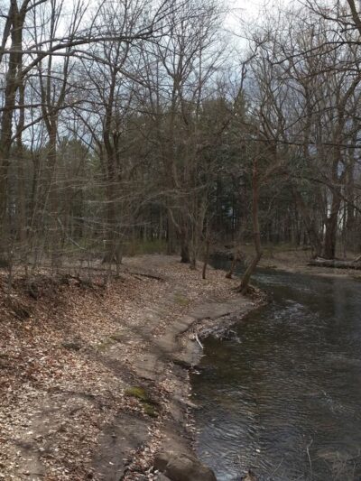 Sawyer Park - Rochester, NY