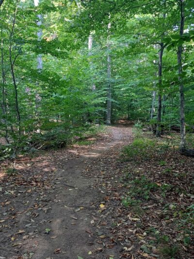 Sawyer Park - Rochester, NY