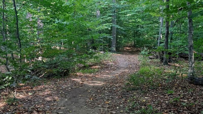 Sawyer Park - Rochester, NY