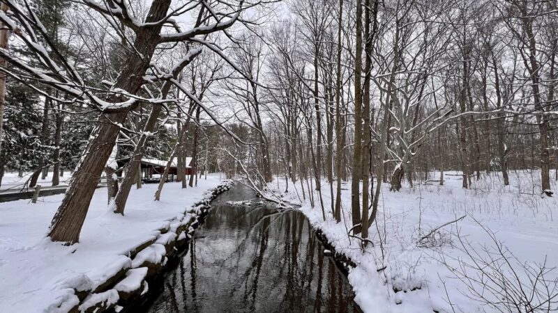 Sawyer Park - Rochester, NY