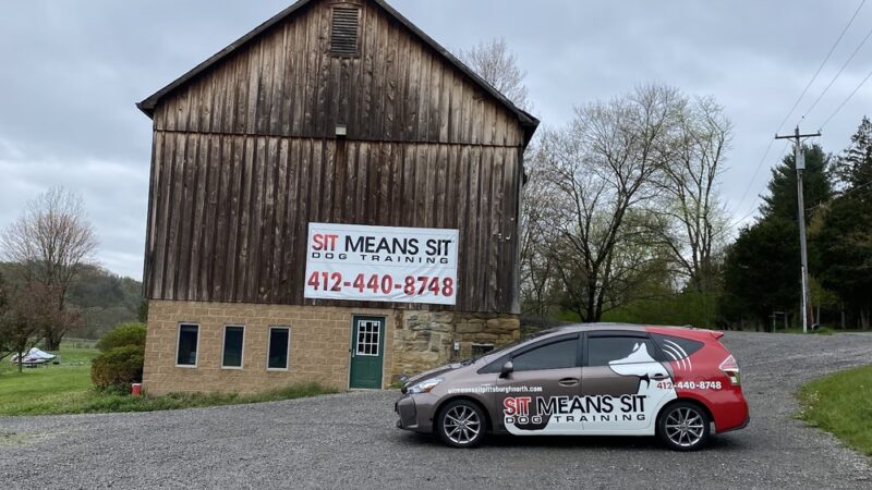 Sit Means Sit Dog Training Pittsburgh North - Rochester, PA