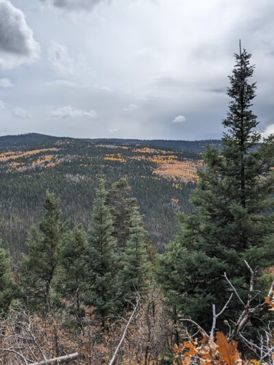 Iron Gate Campground - Rociada, NM