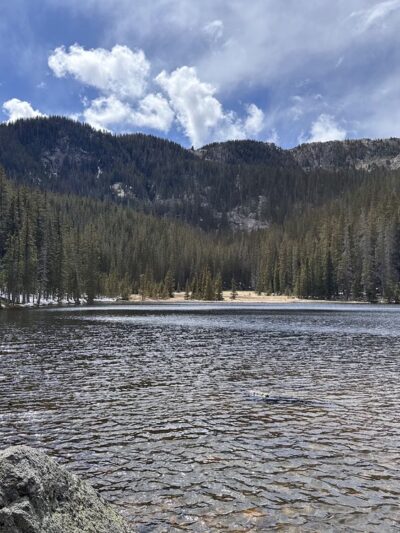Pecos Wilderness - Rociada, NM