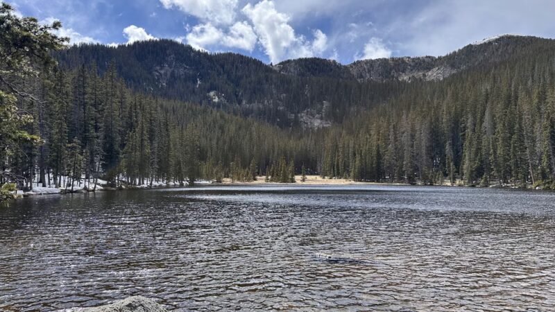 Pecos Wilderness - Rociada, NM