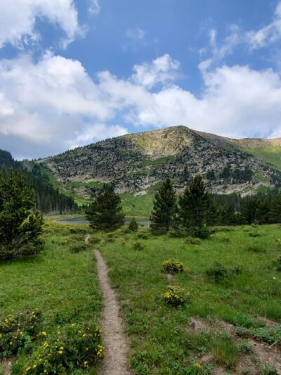 Pecos Wilderness - Rociada, NM
