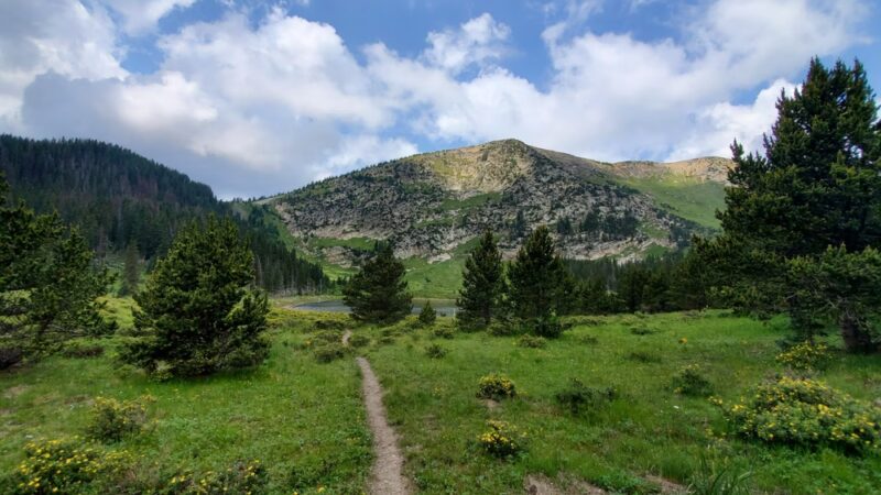 Pecos Wilderness - Rociada, NM