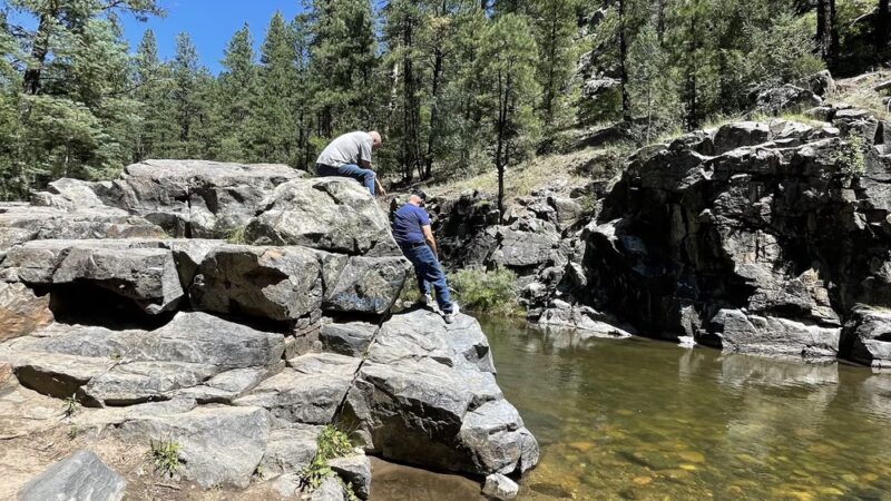 Pecos Wilderness - Rociada, NM