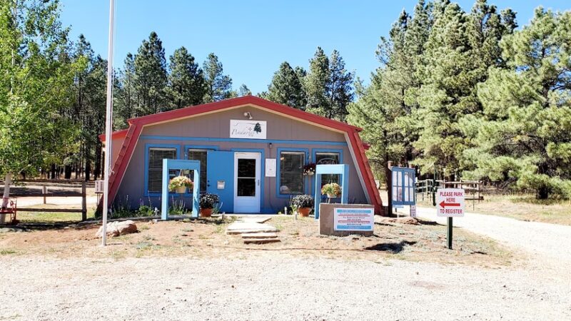 Pendaries RV Resort - Rociada, NM