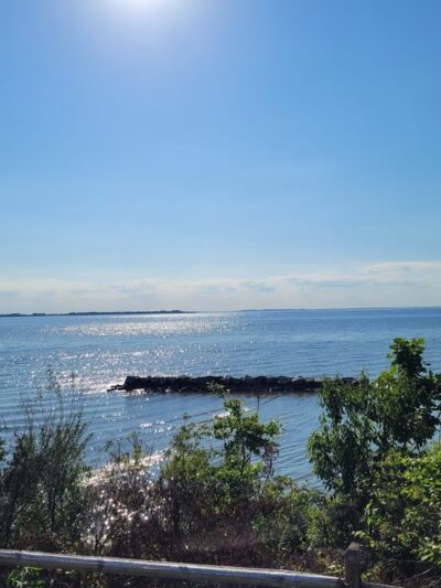 Bayview Butterfly Trail - Rock Hall, MD