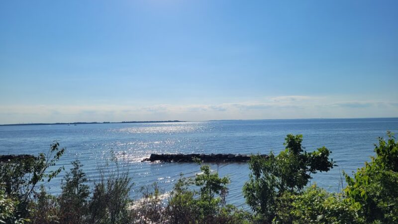 Bayview Butterfly Trail - Rock Hall, MD