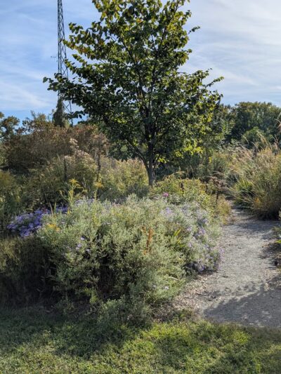 Bayview Butterfly Trail - Rock Hall, MD