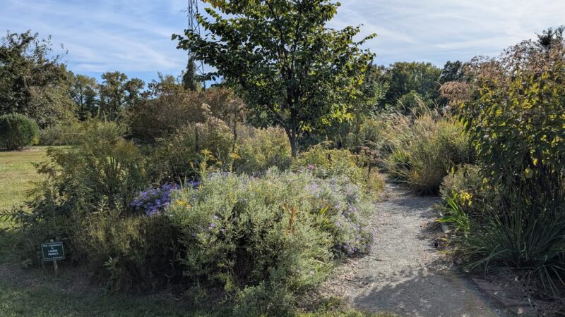 Bayview Butterfly Trail - Rock Hall, MD