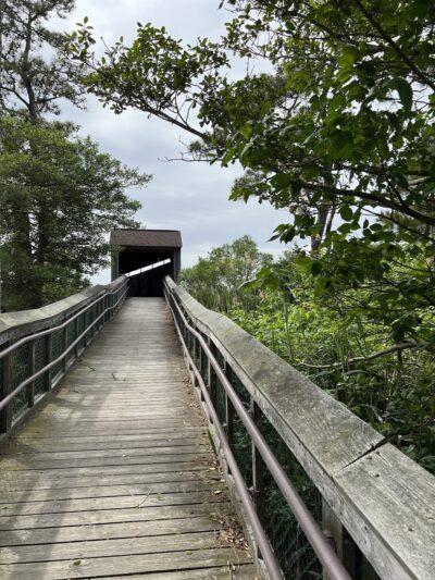 Tubby Cove Boardwalk - Rock Hall, MD
