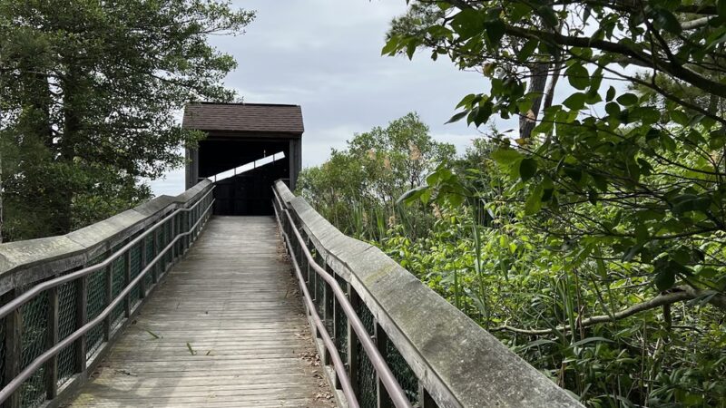 Tubby Cove Boardwalk - Rock Hall, MD