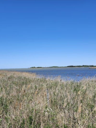 Tubby Cove Boardwalk - Rock Hall, MD