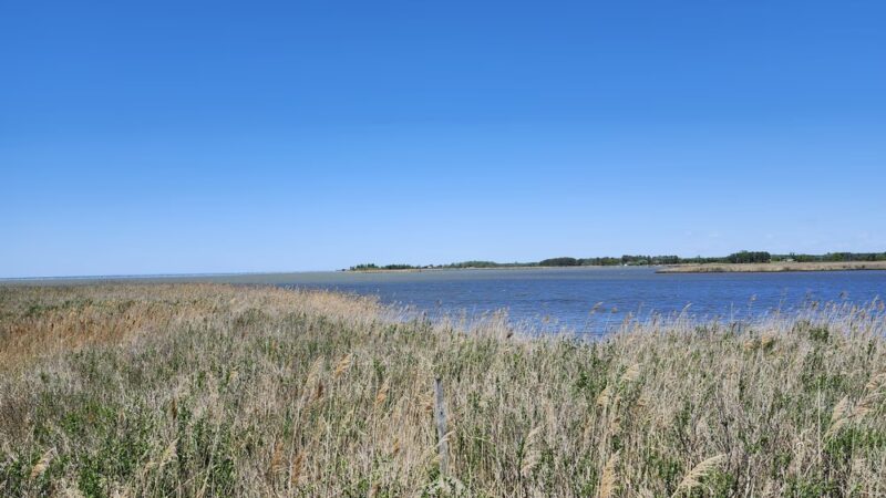 Tubby Cove Boardwalk - Rock Hall, MD