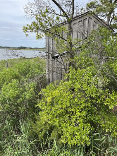 Tubby Cove Boardwalk - Rock Hall, MD