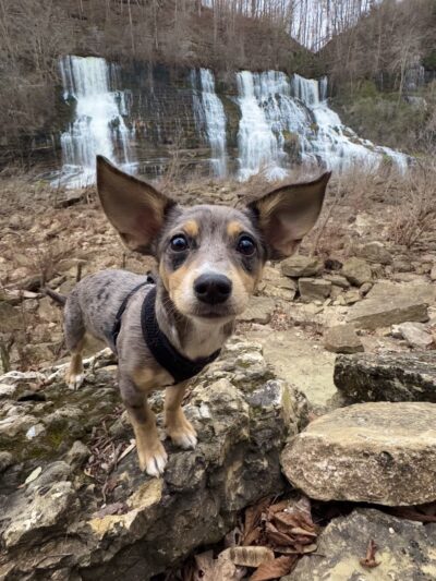 Rock island park - Rock Island, TN