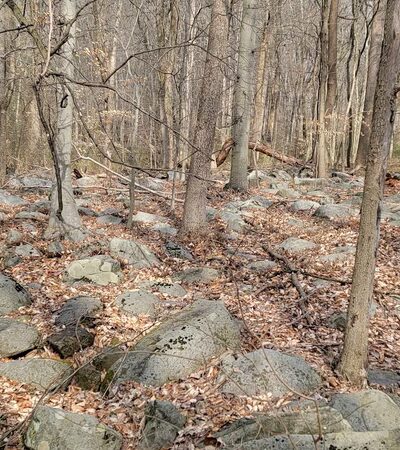 Brandywine Creek State Park - Rockland Parking lot - Rockland, DE