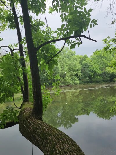 Brandywine Creek State Park - Rockland Parking lot - Rockland, DE